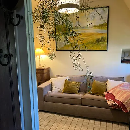 招待所 Du Collectionneur 3*