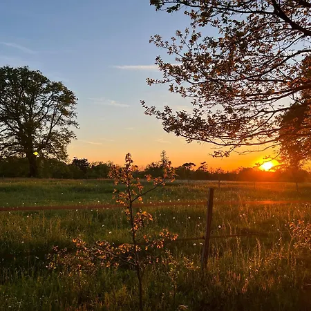 Du Collectionneur 3*