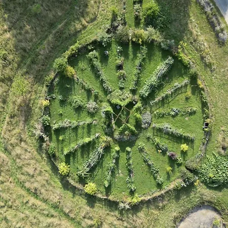 招待所 Du Collectionneur 3*