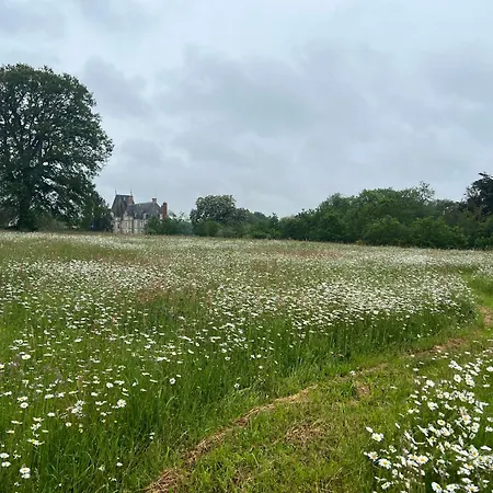 Du Collectionneur 招待所 3*