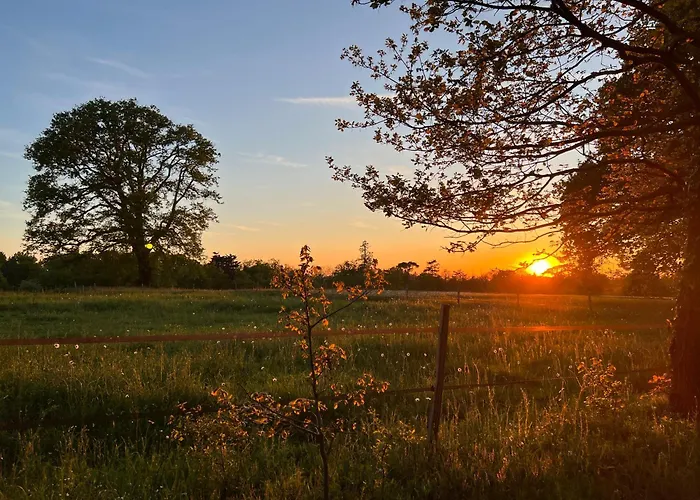 Du Collectionneur 3*