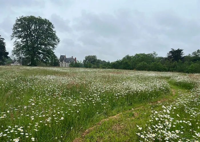 Du Collectionneur Gæstehus 3*